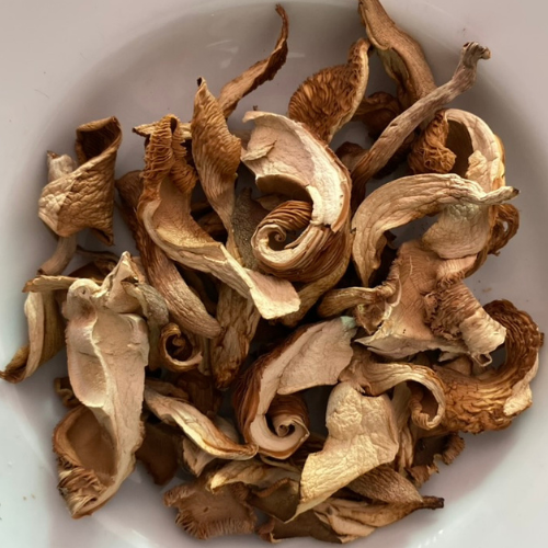 Buy Dried Abalone Mushroom 1kg./bag