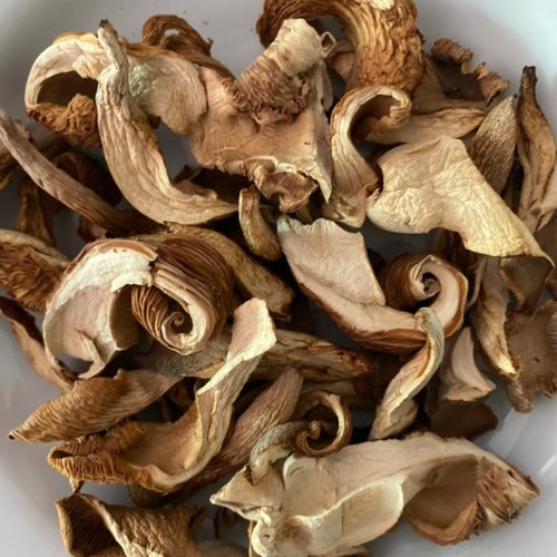 Buy Dried Abalone Mushroom 1kg./bag