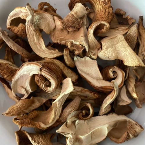 Buy Dried Abalone Mushroom 1kg./bag