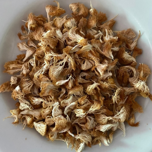 Shop Dried Lion's Mane Mushroom from Farm 1kg./bag