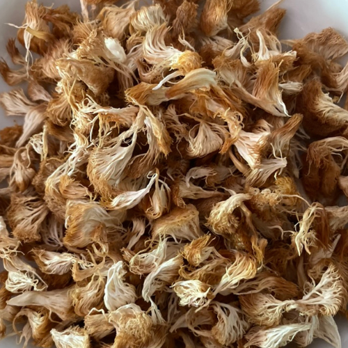 Shop Dried Lion's Mane Mushroom from Farm 1kg./bag