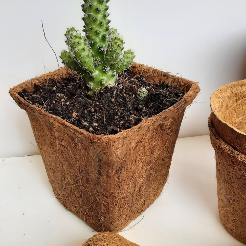 cocopot-square