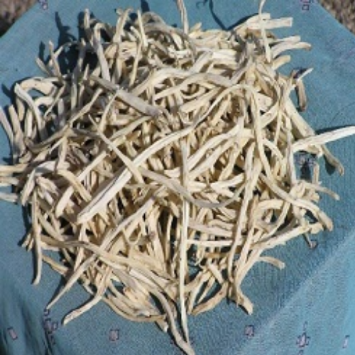 Organic Safedmusli Herb (Chlorophytum Borivilianum) Food Farm Hub