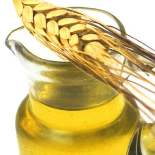 Organic Wheat Germ Oil - Food Farm Hub