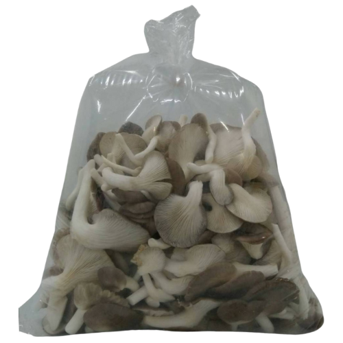 Pheonix mushroom 1 kg. - Food Farm Hub