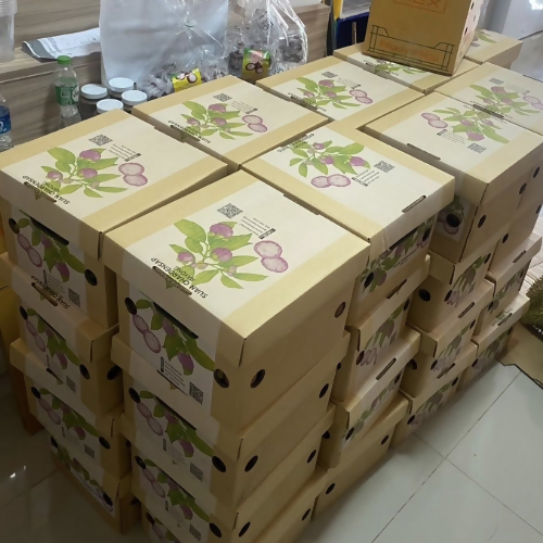 fresh-mangosteen1