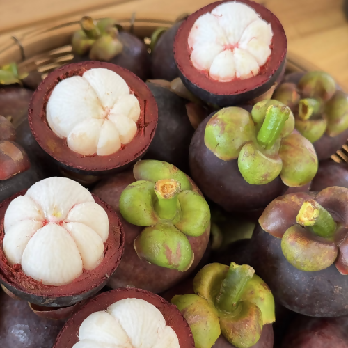 fresh-mangosteen3