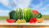 SALABLE FRESH FRUITS