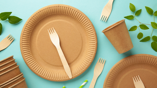 Eco-Friendly Dinnerware