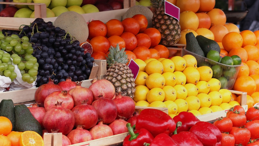 How to Import Fresh Food from Southeast Asia