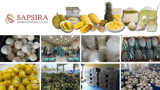 Introduce Sapsira Intertrade: Aromatic Coconut, Yellow mango, Pineapple, and more Fresh Fruits Provider from Thailand Food Farm Hub