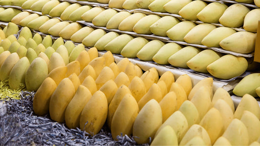 The Bounty of Thai Mango: A Complete Guide to the Tropical Delight