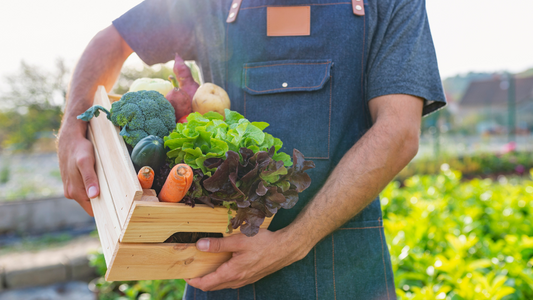 Organic and Hydroponic Farming