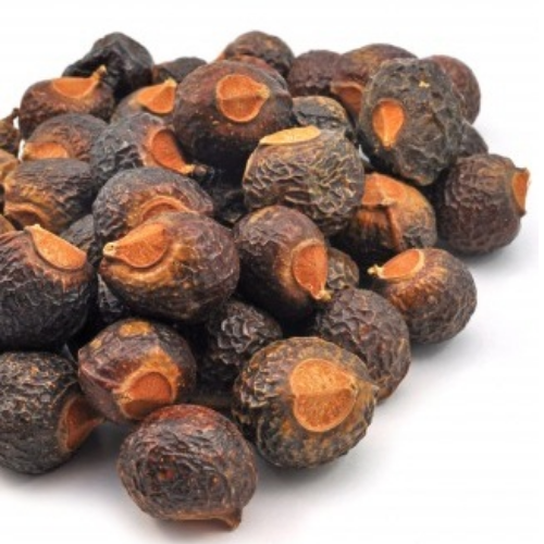 Organic Soapnuts, soap berries or washing nuts