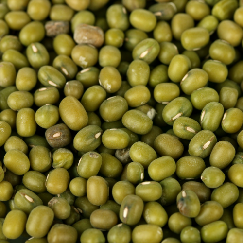 Organic Green Mung, moong dal in India