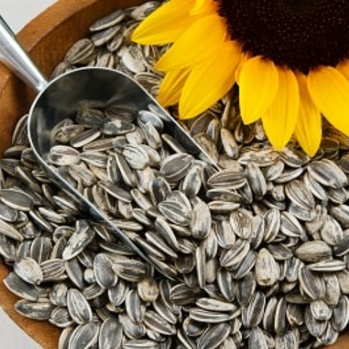 Organic Sunflower Seeds, raw seeds for snack