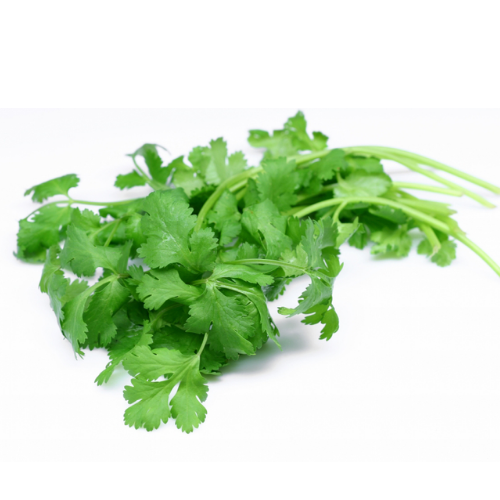 Organic Coriander