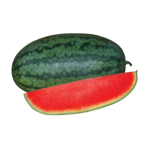 Torpedo Watermelon