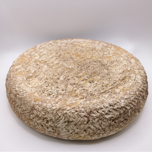 Amalthea, a taleggio cheese is made from goat milk