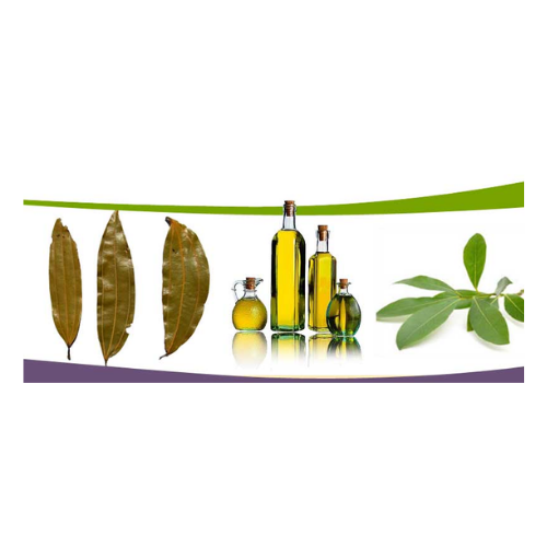 Organic Bay Leaf Oil