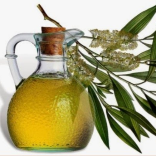 Organic Eucalyptus Oil