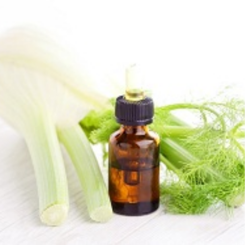 Organic Fennel Oil