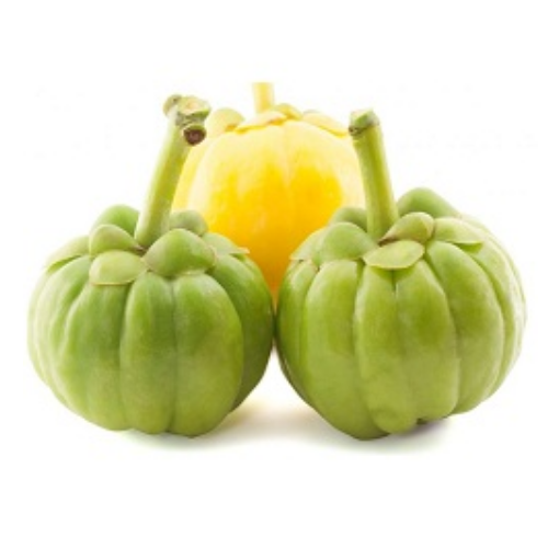 Organic Garcinia Cambogia Extract