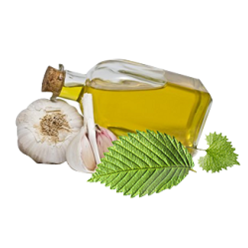 Organic Garlic Oil