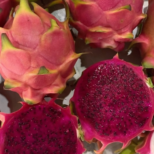 Red-dragonfruit2