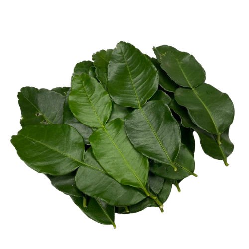 Kaffir lime leaves, fresh kaffir lime leaves