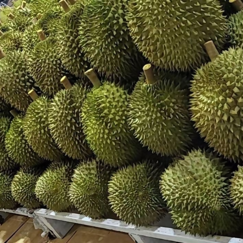 durian2