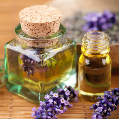 Organic Lavender Oil