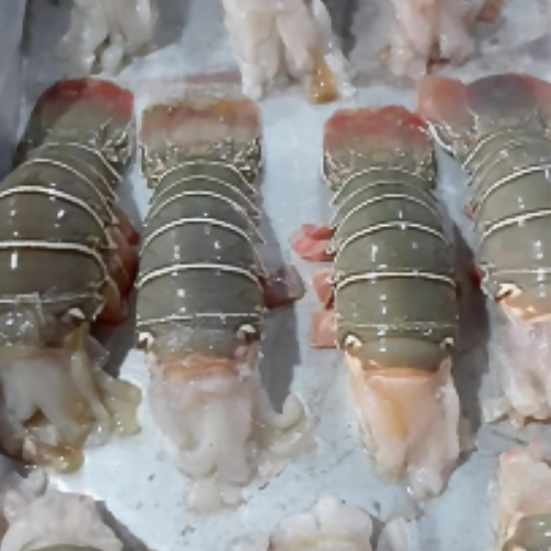 Lobster Tail and Whole - Food Farm Hub