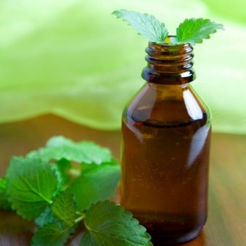 Organic Mint Oil (Organic Peppermint Oil)