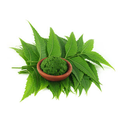 Organic Neem Extract