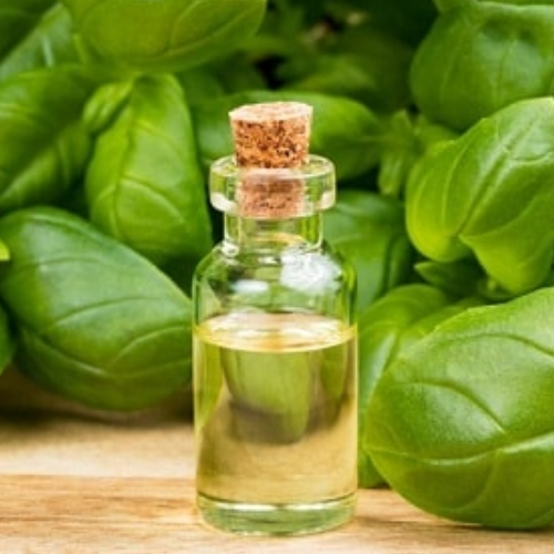 Organic Basil oil - Food Farm Hub