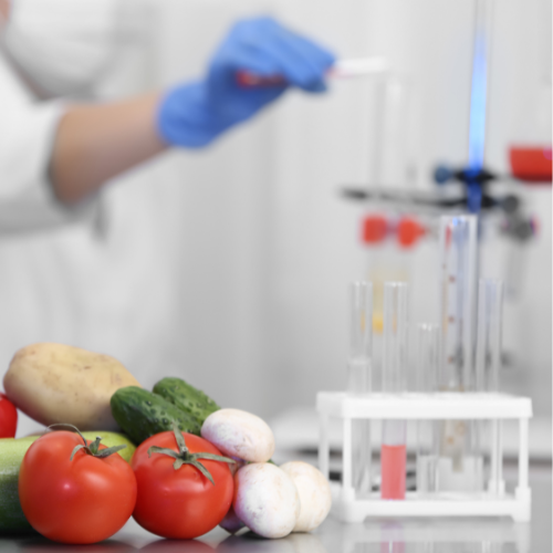 Shelf Life Testing Service - Food Farm Hub