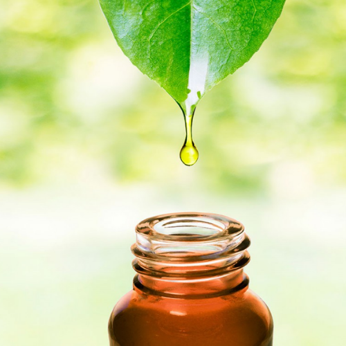 Organic Tea Tree Oil