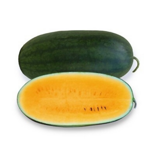 King Orange Watermelon