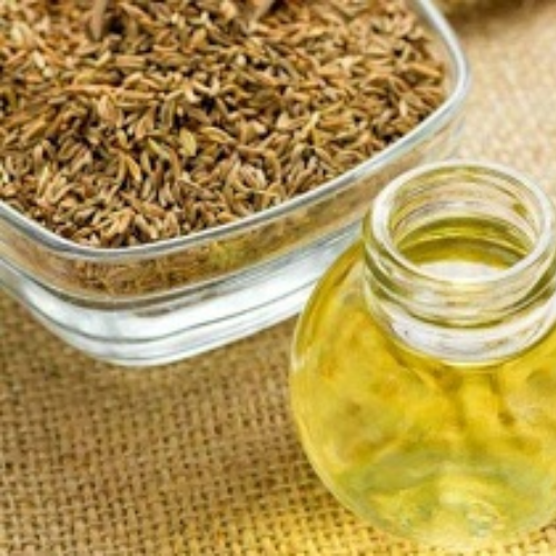 Organic Caraway Oil