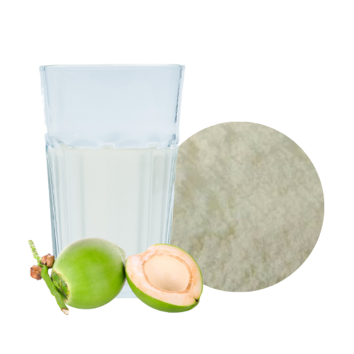 Coconut Water Powder, spray-dried Nam-Hom coconut water