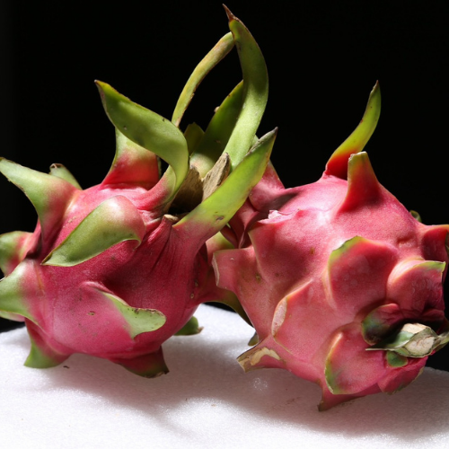 Dragon fruit