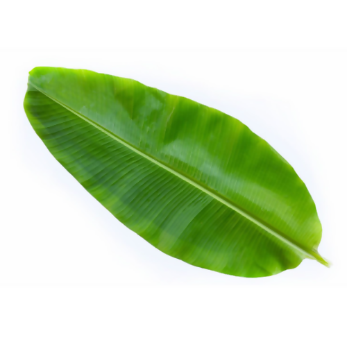 Banana Leaves