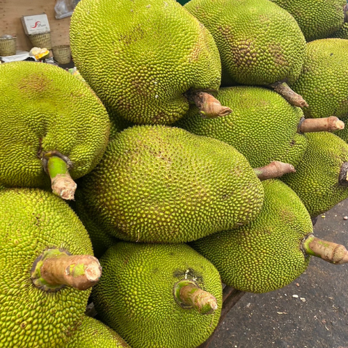 Fresh Jackfruit from Thailand, ripe jackfruit bulk orders