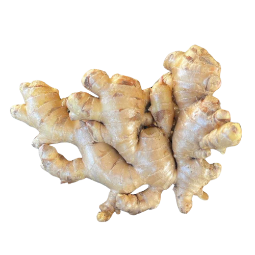 Fresh Ginger, ginger from Thailand