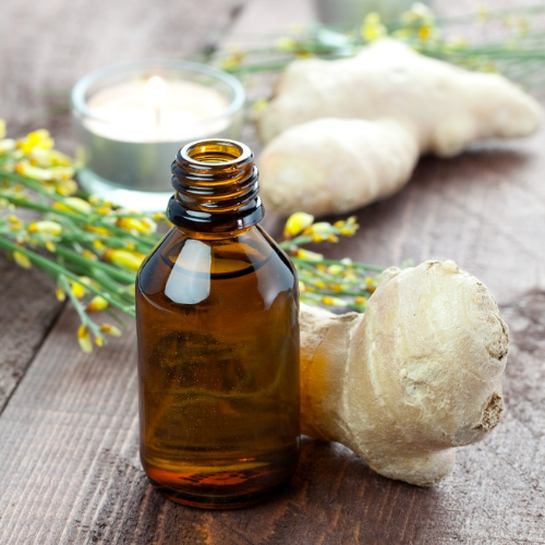 Organic Ginger Oil