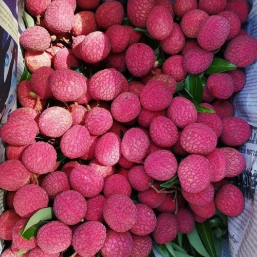 Lychee