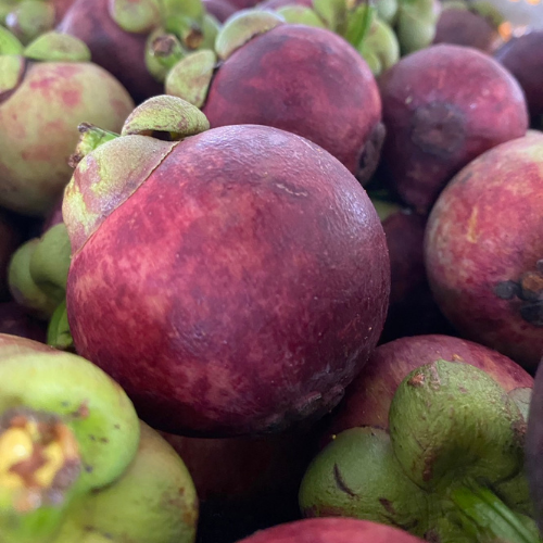 Mangosteen