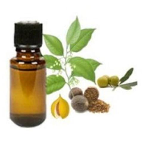 Organic Nutmeg Oil