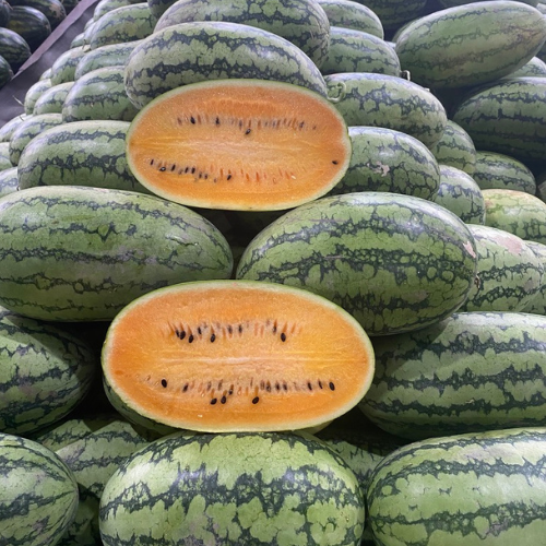 Buy King Orange Watermelon, Whole Orange Watermelon in Bulk